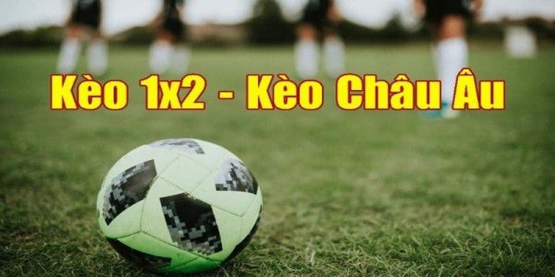 Kèo châu Âu luôn là sự lựa chọn hàng đầu của nhiều người dùng Kèo châu Âu luôn là sự lựa chọn hàng đầu của nhiều người dùng